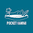 YbYd5tHA6dw-channel-avatar-POCKET HAWAII
