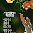 @배희정-h6z