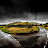 @Ian-gw2vx's avatar