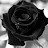 @sifisoabaqedusemkhonza3428 Avatar