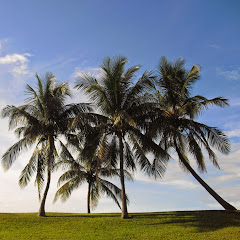 Invertir para Disfrutar