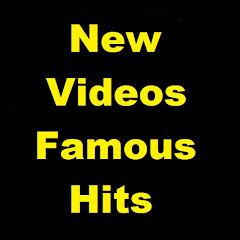 New Videos Famous Hits net worth