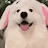 @토토토토-e1b