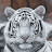 @maisumwalli3180's avatar