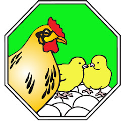 Arab Qatari CO. For Poultry Production