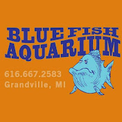 Blue Fish Aquarium