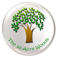 The 10 Acre Woods Avatar