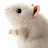 @decaystar's avatar