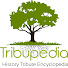 APPIjku9Nh4-channel-avatar-Tribupedia com