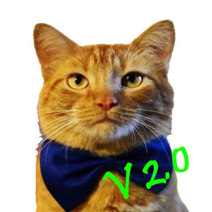 BeST MoMeNTS v2.0 Net Worth & Earnings (2026)