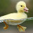 @AdriBoy2k1's avatar