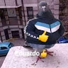 Автор