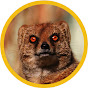 Enraged Mongoose logo