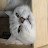 @cloudsong5228