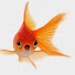 H-PRPTvmi6E-channel-avatar-GoldfishGam3r