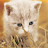 @user-hl7vf6ux8k