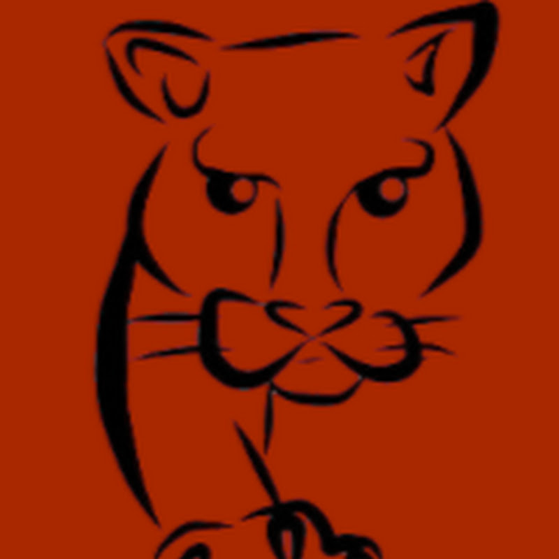 Padan Panther Storytime