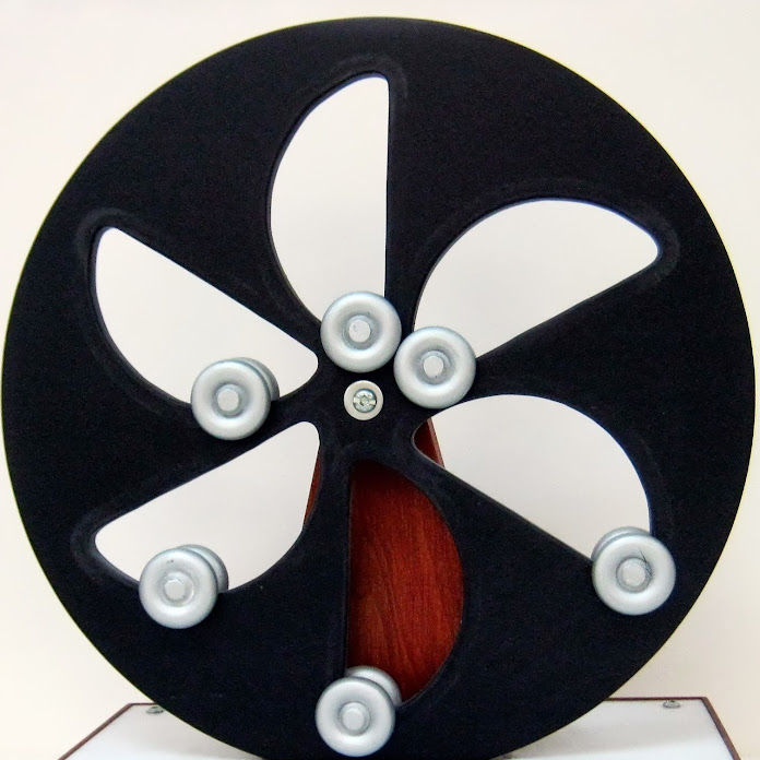 veproject1 Net Worth & Earnings (2026)