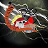 F67g_MZlMCY-channel-avatar-Blackjack '98 Enterprises