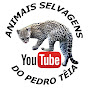 Animais Selvagens do Pedro Têia