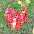 @하사라-h7l