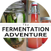 The Fermentation Adventure
