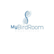 Budgerigar - Mybirdroom App