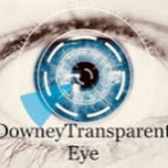 Downey Transparent eye Avatar