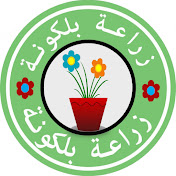 زراعة بلكونة