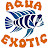 Aqua Exotic