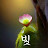 @김동환-v4z