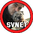 egMPXHN0oiE-channel-avatar-Noel Fitzpatrick Fanbase