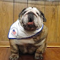 Joesphine English Bulldog logo