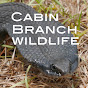 Cabin Branch Wildlife logo