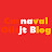 Carnaval Oilsjt Blog