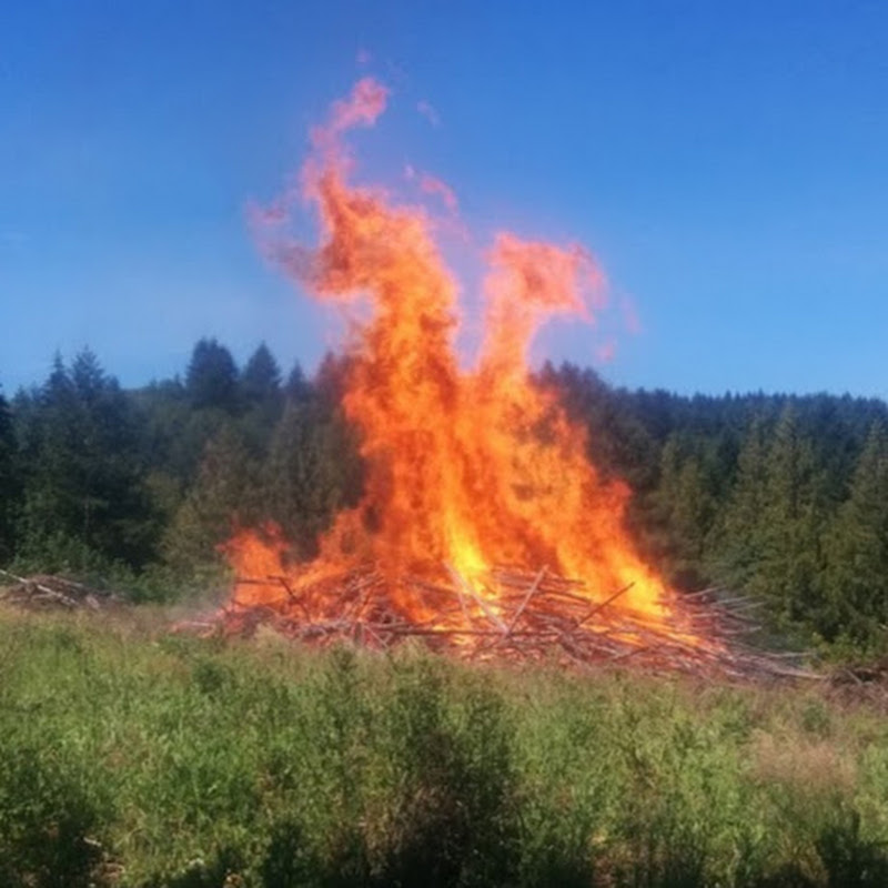 Pacific Northwest Hillbilly Logo