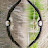@michdro5595 Avatar