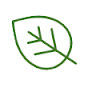 Knotweed Surveys logo