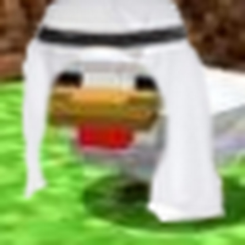 Pabloide