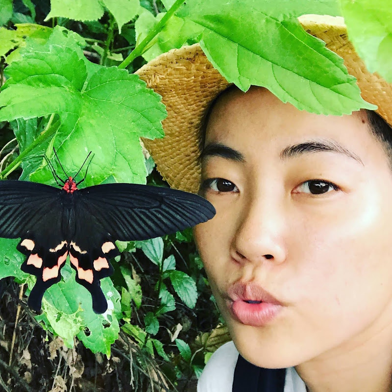 昆蟲擾西吳沁婕Dee the bugbuff Logo