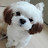 @동동주-g5f