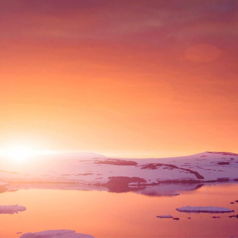 Go the Fork to Sleep