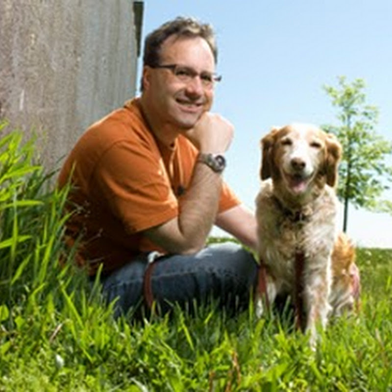 steve dale