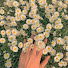 UgiN8cKjD2o-channel-avatar-Pp