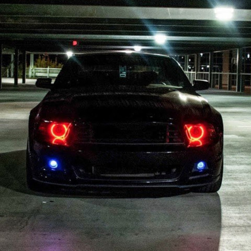 Mustang power and beauty