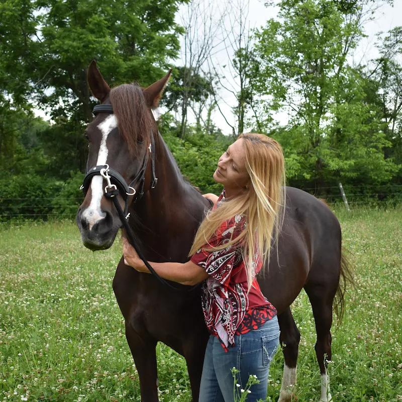 Tara Jones Riding & Training