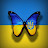 @miaohmya92 Avatar