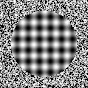 shake_your_phone_5457