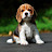 @tsdelaney Avatar
