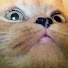 -tgaGDTZ-W4-channel-avatar-Muty